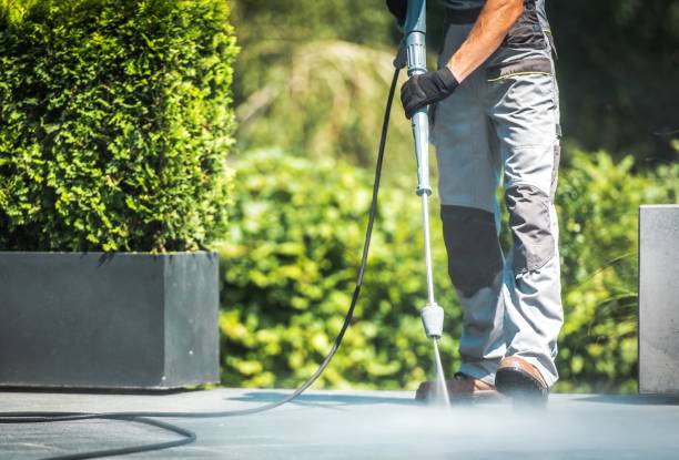 Best Driveway Pressure Washing  in Lyons, NJ