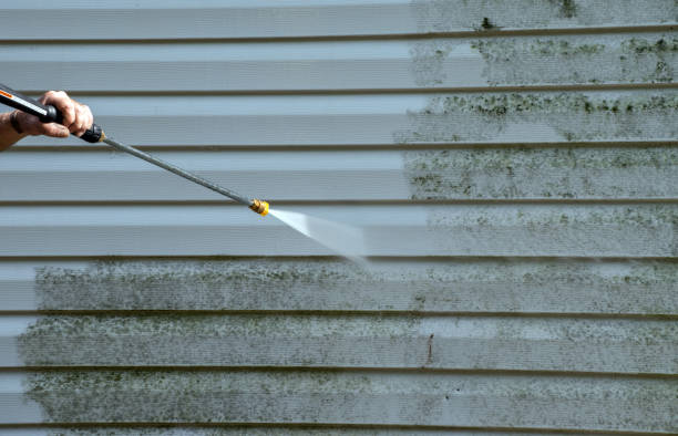 Best Dumpster Area Cleaning  in Lyons, NJ