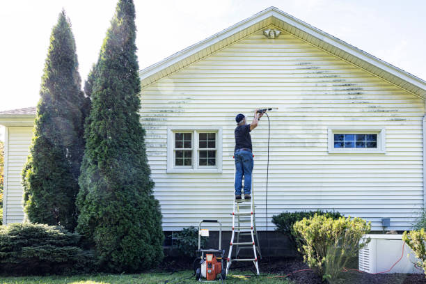 Best Gutter Cleaning  in Lyons, NJ